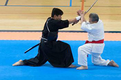 2016 Seido Karate Sponsorship